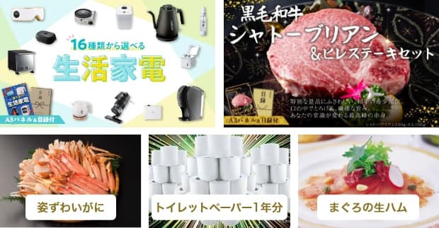 16種類から選べる 生活家電・黒毛和牛シャトーブリアン&ヒレステーキセット・姿ずわいがに・トイレットペーパー1年分・静岡 まぐろの生ハム・ハーゲンダッツ