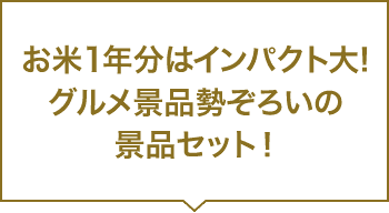 お米1年分はインパクト大！グルメ景品勢ぞろいの景品セット！