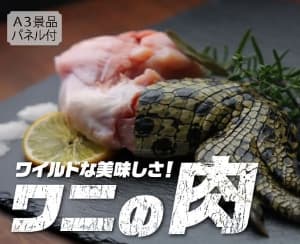 ワニの肉