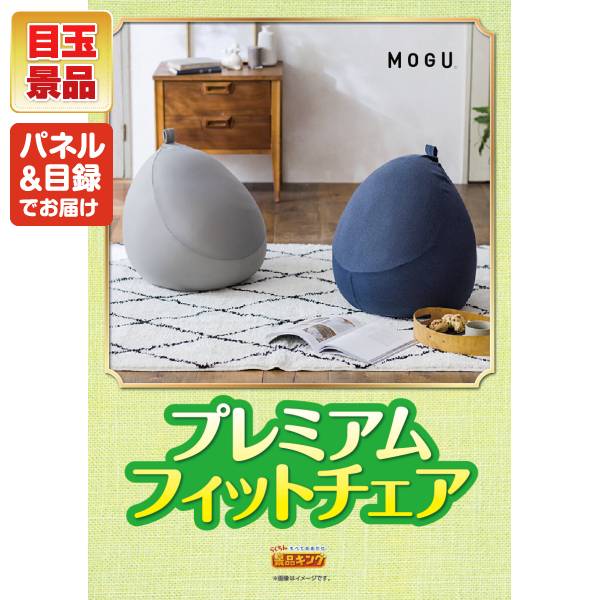 新年会景品5点セット【MOGU プレミアムフィットチェア/COLD STONE