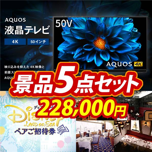 新年会景品5点セット【AQUOS 4K 50インチテレビ/ディズニーペア