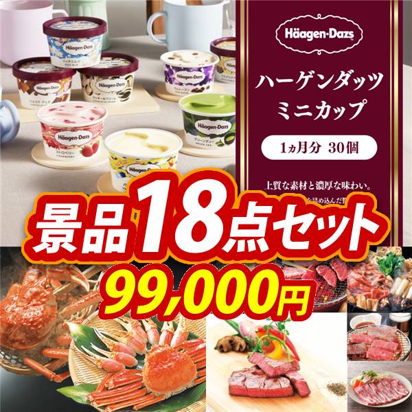 新年会景品18点セット【ハーゲンダッツ ミニカップ 1ヶ月分 30個