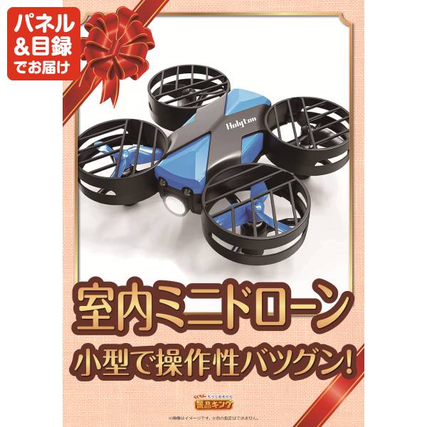 新年会景品15点セット【姿ずわいがに/小型 室内ミニドローン 他】A3