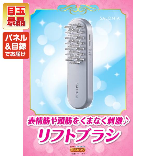 忘年会景品30点セット【SALONIA EMSリフトブラシ/ハーゲンダッツ ミニ