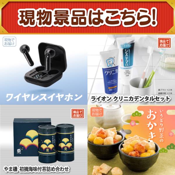 追加用》忘年会景品30点セット【ワイヤレスイヤホン/ライオン クリニカ