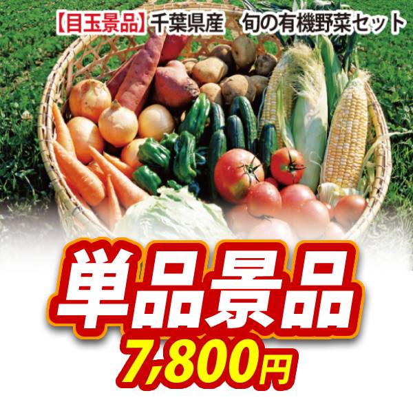 新年会景品【千葉県産 旬の有機野菜セット】A3パネル・目録付き<送料