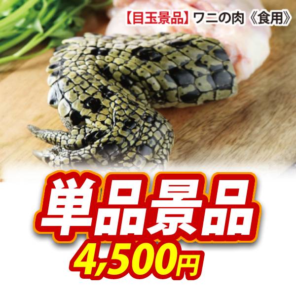 【ワニの肉《食用》】A3パネル・目録付き