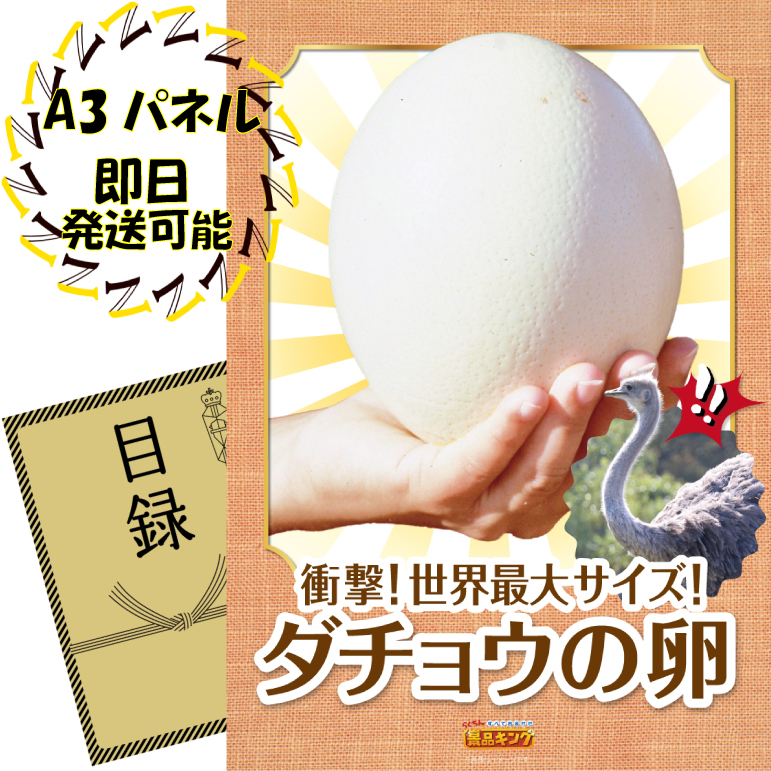 ビンゴ景品【ダチョウの卵】A3パネル・目録付き<送料無料>