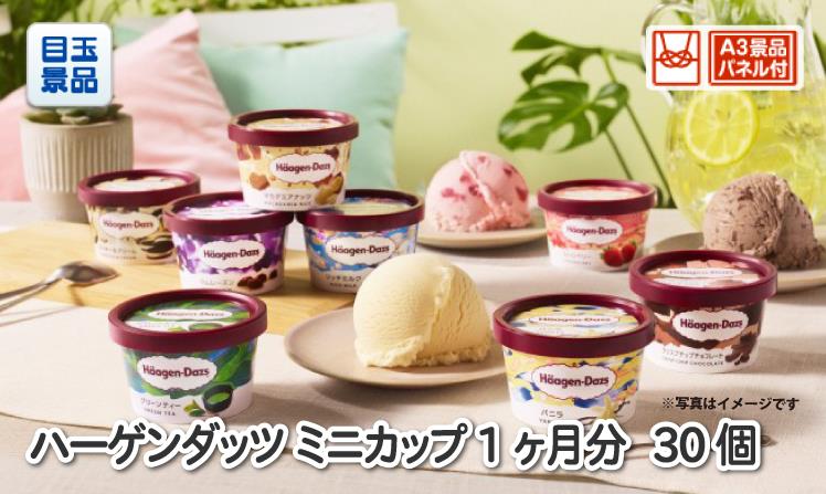 ハーゲンダッツ ミニカップ 1ヶ月分　30個のイメージ