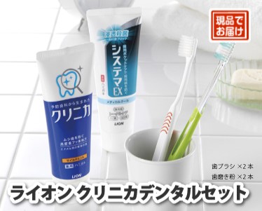 ライオン クリニカデンタルセットのイメージ