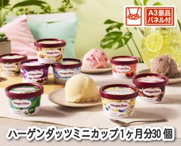 ハーゲンダッツ ミニカップ 1ヶ月分　30個のイメージ