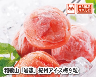 和歌山 「岩惣」紀州アイス梅9粒のイメージ
