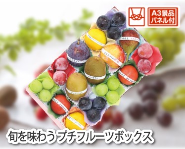 旬を味わうプチフルーツボックスのイメージ
