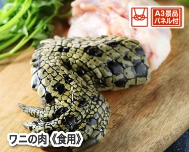 ワニの肉《食用》のイメージ