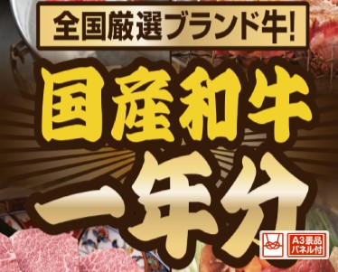 全国ブランド和牛1年分(毎月300~400g×12回)のイメージ