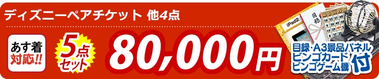 【目玉:ディズニーペアチケット】5点セット 5点セット 80000円