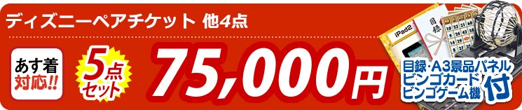 【目玉:ディズニーペアチケット】5点セット 5点セット 75000円