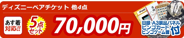 【目玉:ディズニーペアチケット】5点セット 5点セット 70000円
