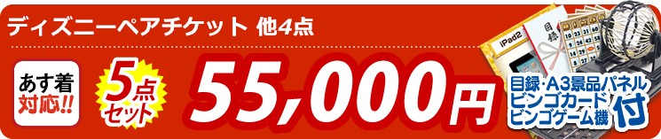 【目玉:ディズニーペアチケット】5点セット 5点セット 55000円