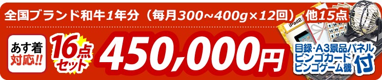 【目玉:全国ブランド和牛1年分(毎月300~400g×12回)】16点セット 16点セット 450000円