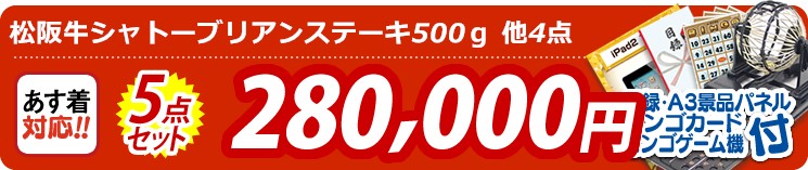 【目玉:松阪牛シャトーブリアンステーキ500g】5点セット 5点セット 280000円