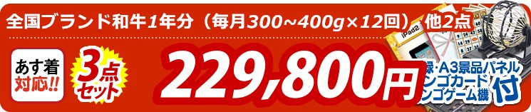 【目玉:全国ブランド和牛1年分(毎月300~400g×12回)】3点セット 3点セット 229800円