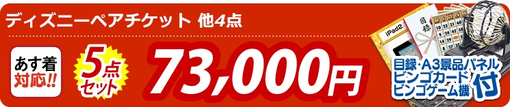 【目玉:ディズニーペアチケット】5点セット 5点セット 73000円