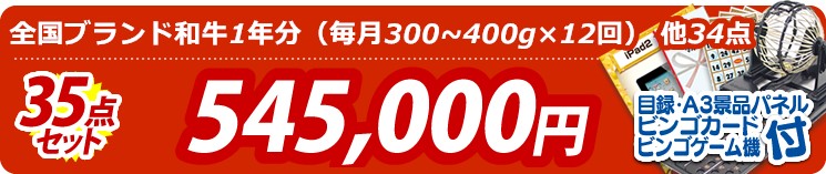 【目玉:全国ブランド和牛1年分(毎月300~400g×12回)】35点セット 35点セット 545000円