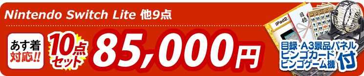 【目玉:Nintendo Switch Lite】10点セット 10点セット 85000円