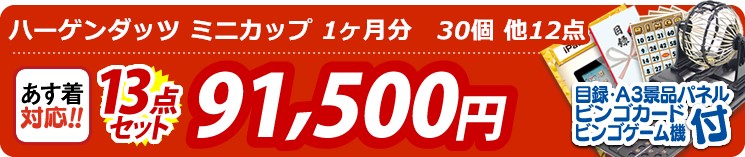 【目玉:ハーゲンダッツ ミニカップ 1ヶ月分　30個】13点セット 13点セット 91500円