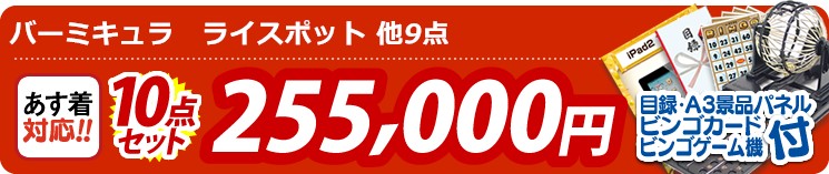 【目玉:バーミキュラ　ライスポット】10点セット 10点セット 255000円