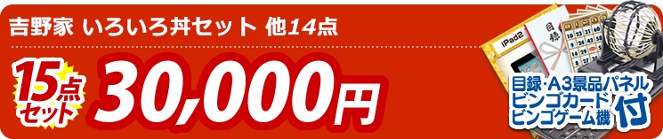 【目玉:吉野家 いろいろ丼セット】15点セット 15点セット 30000円