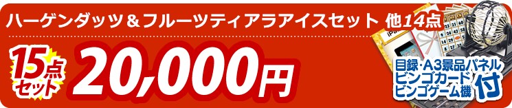 【目玉:ハーゲンダッツ&フルーツティアラアイスセット】15点セット 15点セット 20000円