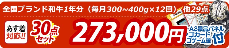 【目玉:全国ブランド和牛1年分(毎月300~400g×12回)】30点セット 30点セット 273000円