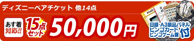 【目玉:ディズニーペアチケット】15点セット 15点セット 50000円