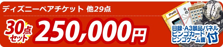 【目玉:ディズニーペアチケット】30点セット 30点セット 250000円