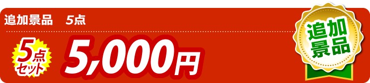 追加景品 5点セット 5000円