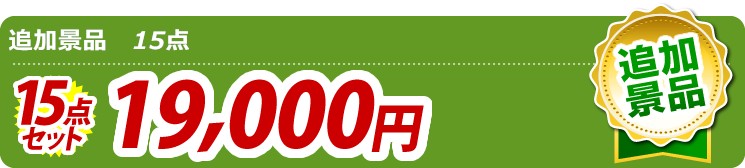 追加景品 15点セット 19000円