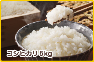 コシヒカリ5kg 