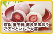 京都 養老軒 博多あまおう ごろっといちご大福