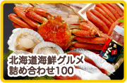 北海道海鮮グルメ詰め合わせ100