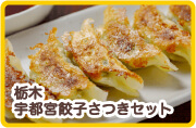 栃木　宇都宮餃子さつきセット