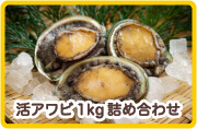 活アワビ　1kg詰め合わせ
