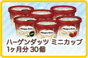 ハーゲンダッツ ミニカップ 1ヶ月分　30個