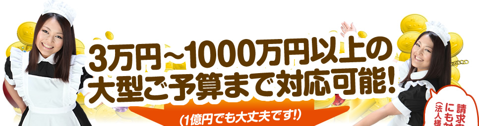 3万円から1000万円以上のご対応可能です！また、請求書払いにも対応！（法人様対象）