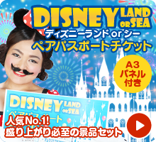 ディズニーランドorシー ペアパスポートチケット